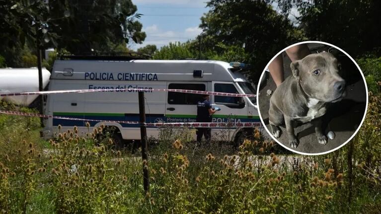 Un nene fue asesinado en La Plata. Creen que lo mataron los perros.