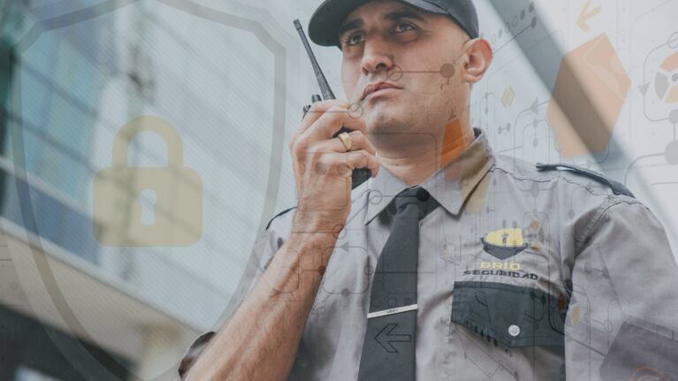 Un nuevo paradigma de seguridad pública a aplicar frente a un nuevo paradigma social de la sociedad de las nuevas tecnologías y un nuevo paradigma delictual.