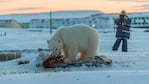 Un oso polar, envuelto en una situación desesperante.