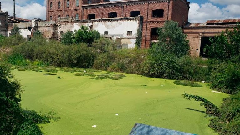 Un pantano en pleno Alberdi: denuncian que es agua de napas y está hace 12 años
