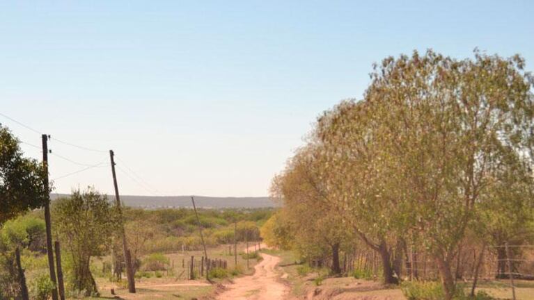 Un perro encontró restos de un bebé recién nacido en Malagueño: el terrible relato de la dueña