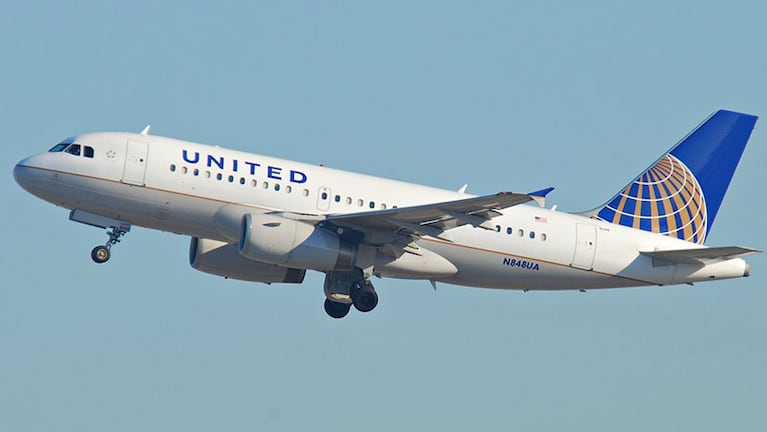 Un perro murió en un vuelo de United Airlines.