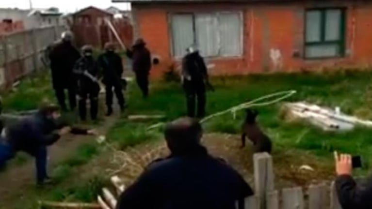 Un pitbull le arrancó la oreja para defender a su amo en Río Gallegos