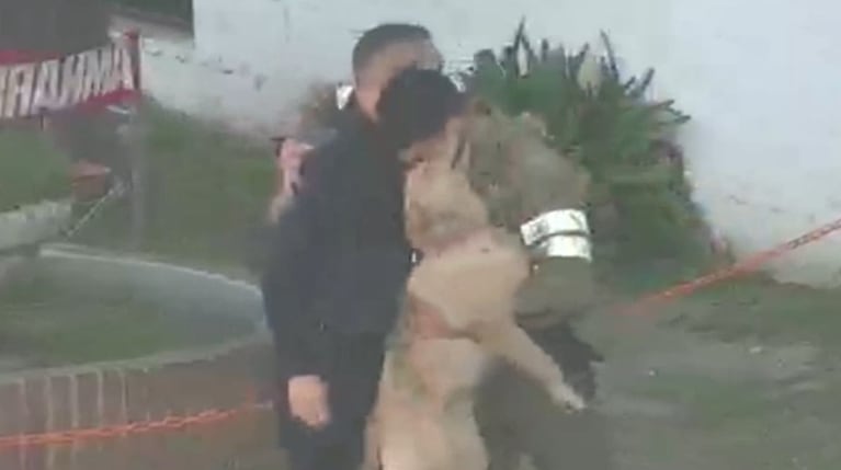 Un policía recuperó una Golden robada y la alegría de la perra emocionó a todos: el video