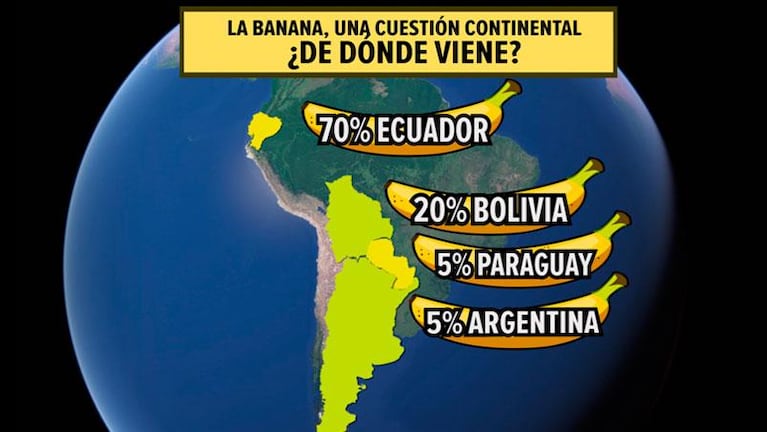 Un problema continental: aumentó el precio de la banana por falta de abastecimiento