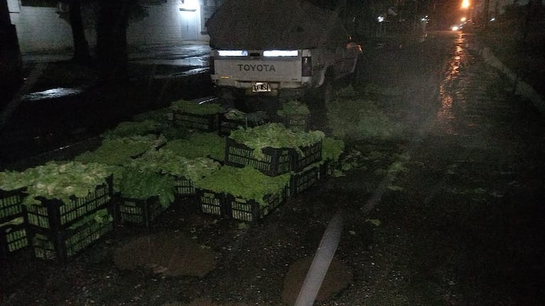 Un productor frutihortícola perdió su mercadería por la calle rota.