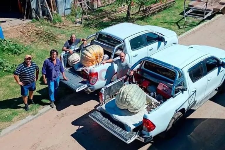 Un productor rompió su propio récord y cosechó un zapallo de 135 kg en un pueblo cordobés