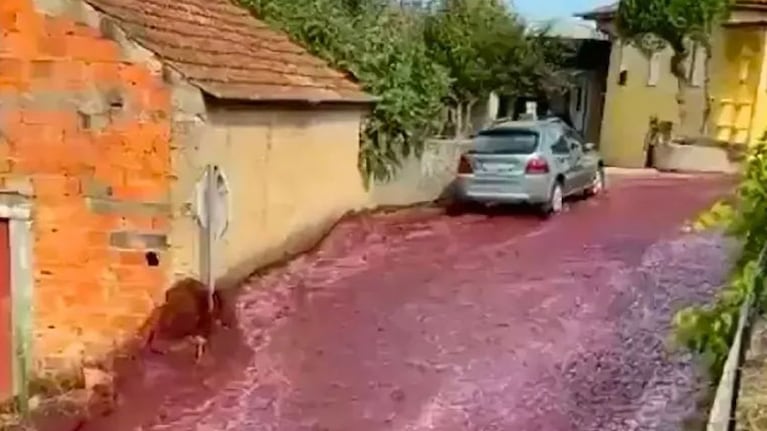 Un pueblo portugués se convirtió en un río de vino.