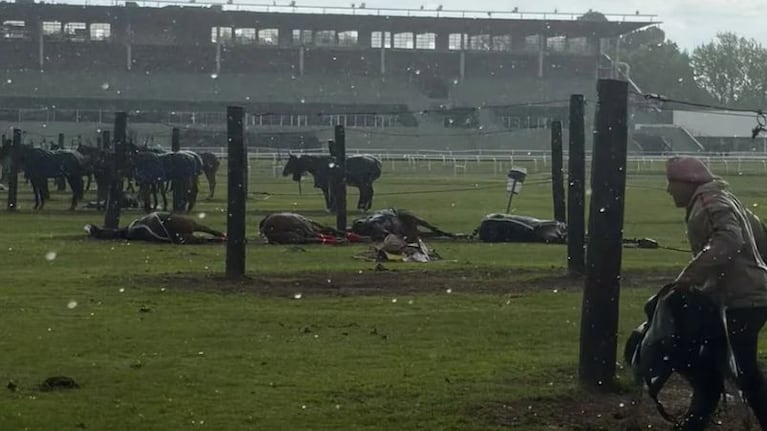 Un rayo cayó en el Jockey Club de San Isidro y mató a cuatro yeguas.