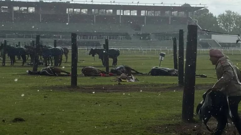 Un rayo cayó en el Jockey Club de San Isidro y mató a cuatro yeguas de polo.