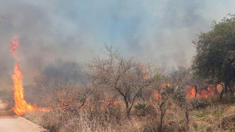 Un rayo provocó un incendio forestal en el norte cordobés: cortaron la Ruta 9