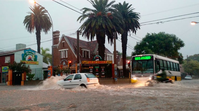 Un río corre por las calles de barrio Jardín.