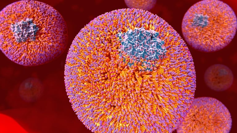 Un tercio de los argentinos tiene Lp(a) alto: qué es, por qué preocupa y cuáles son los riesgos