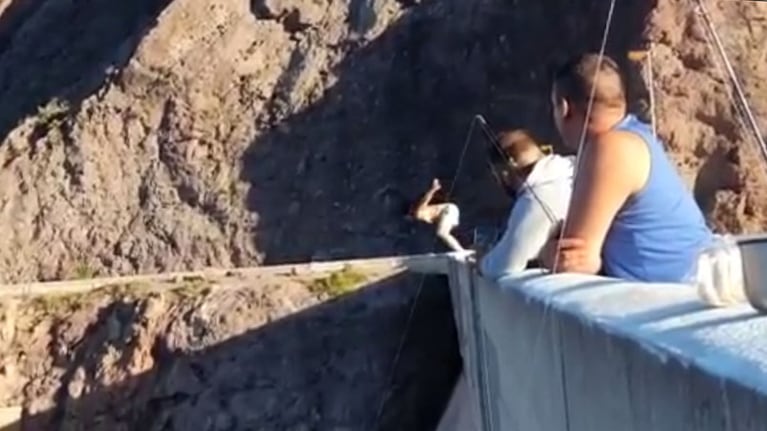 Un testigo registró el insólito salto.