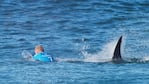 Un tiburón mató a un bañista cerca de Sydney. Foto: Ilustrativa  National Geographic