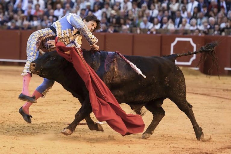 Un torero está grave.