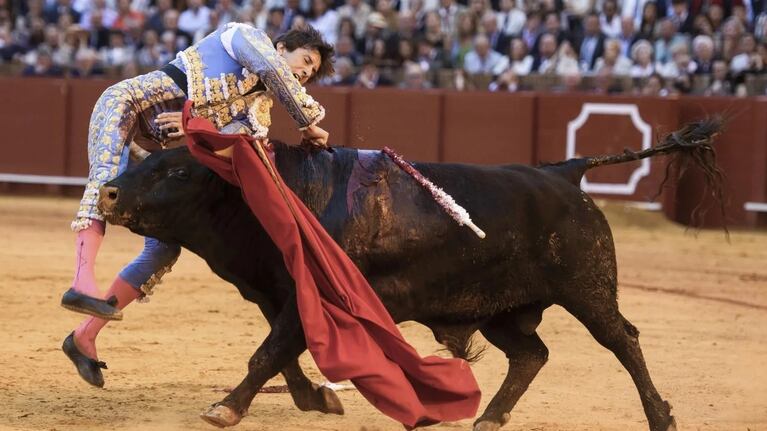 Un torero está grave.