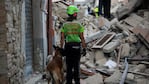 Un trágico terremoto sacudió al centro de Italia. Foto: AFP.