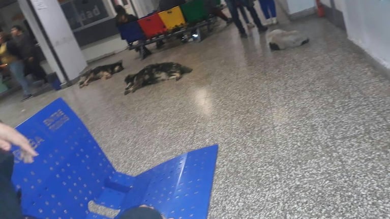 Un triste panorama registró la madre de una nena internada en el hospital público.
