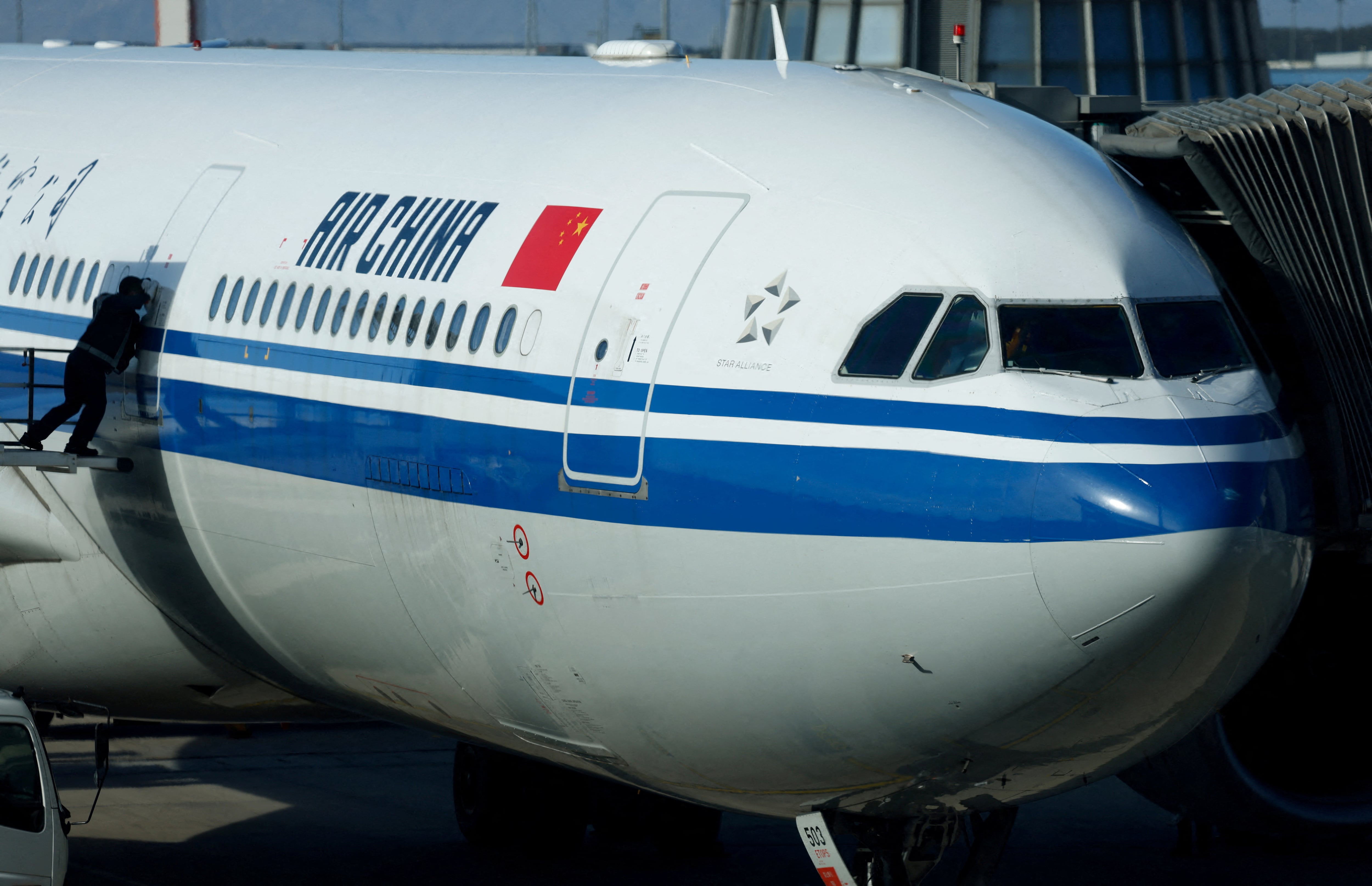 Un vuelo de Air China embistió a una bandada de pájaros