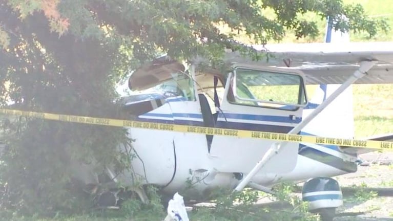 Una avioneta se estrelló contra un árbol