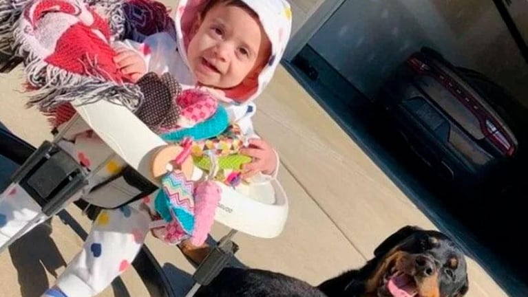 Una beba de 10 meses murió tras ser atacada por los dos rottweilers de la familia