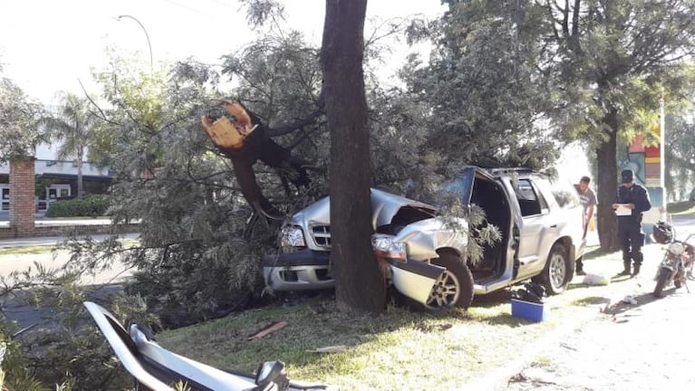 Una camioneta se estrelló contra un árbol en la avenida Fuerza Aérea