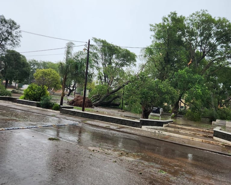 Una cola de tornado azotó al norte de Córdoba y provocó múltiples destrozos