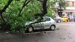 Una de las imágenes que dejó la tormenta: un árbol cayó y aplastó a un auto en el centro. / Foto: ElDoce.tv