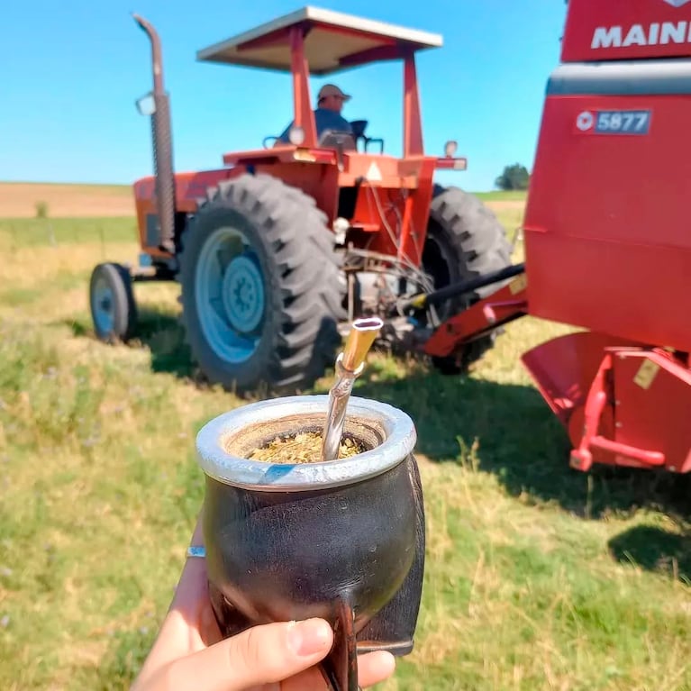 Una de las publicaciones de Daiana en el campo.