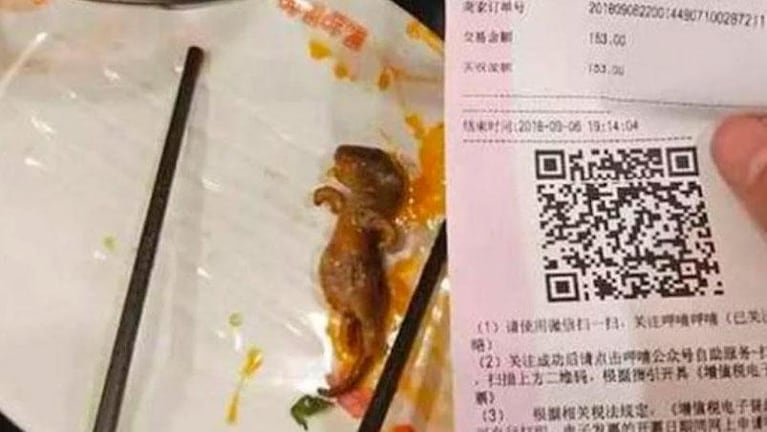 Una embarazada tenía una rata en su comida y el restaurante le ofreció dinero para que aborte