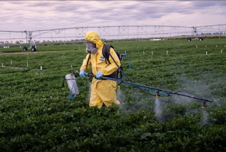 Una empresa donde la ciencia se aplica en pos de la seguridad alimentaria