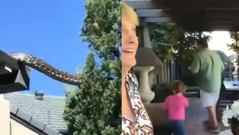 Una familia australiana se horrorizó ante la presencia del colosal reptil.