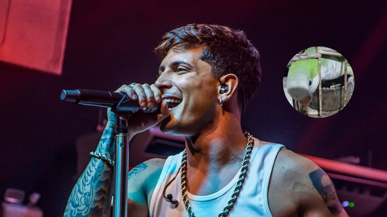 Una fanática de DesaKTa2 compartió un video de cómo baila su lora cuando escucha "No se ve/ Chingón"