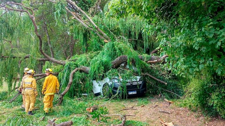 Una fuerte tormenta provocó serios destrozos en el interior de Córdoba