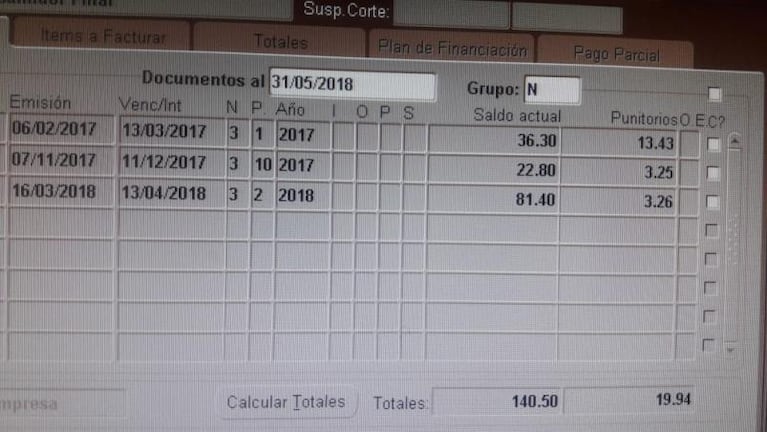 Una legisladora de Córdoba que cobra 98 mil pesos tiene tarifa social