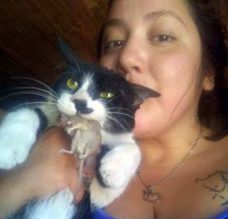 Una mujer busca a su gata perdida con una foto polémica