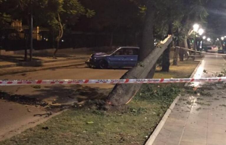 Una mujer murió atropellada en la ruta 9 norte