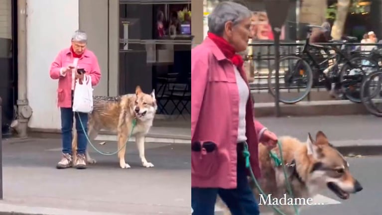 Una mujer paseando un lobo en París.