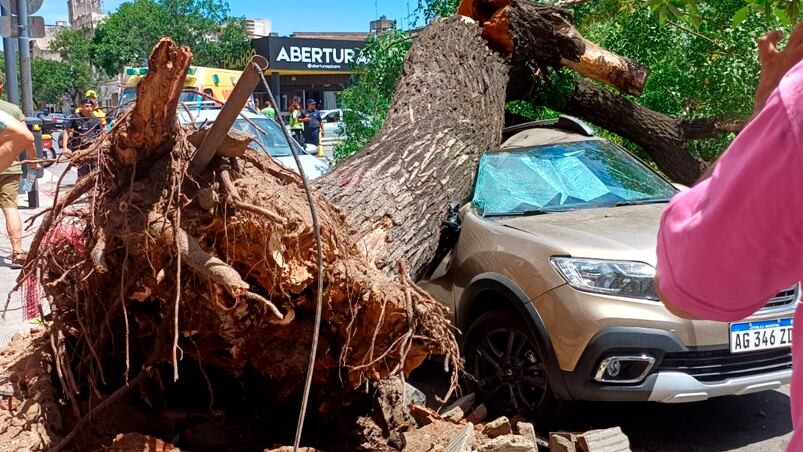 Una mujer result herida por el rbol cado en General Alvear y Libertad.