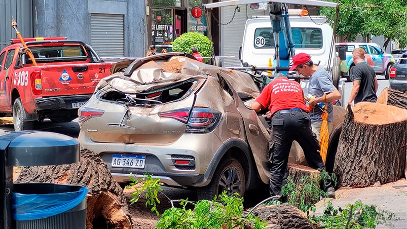 Una mujer result herida por el rbol cado en General Alvear y Libertad. Foto: Fido Cuestas / El Doce.