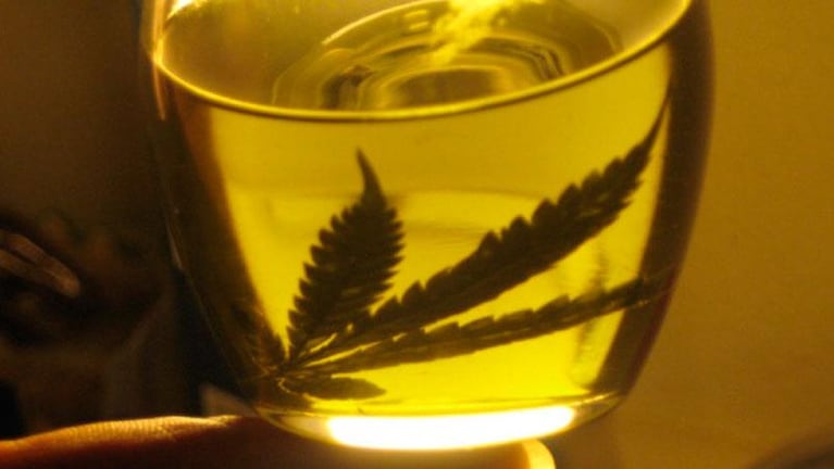 Una niña sufre una extraña enfermedad y la cura es aceite de marihuana