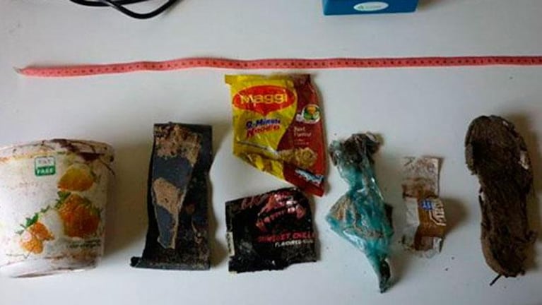 Una orca apareció muerta y encontraron basura en su estómago