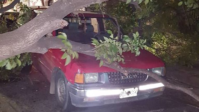 Una pareja y su hija estaban en la camioneta.