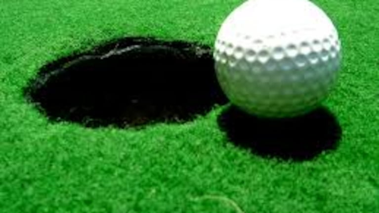 Una pelota de golf ingres{o al hoyo ayudada por una mosca.