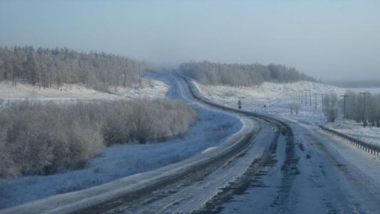 Una ruta en Siberia fue testigo del increíble momento (Foto ilustrativa).