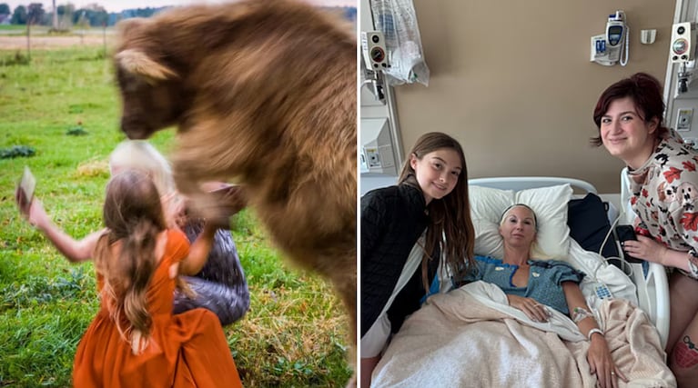 Una vaca de 700 kilos la aplastó en la boda de su hija y casi la mata: el terrible diagnóstico