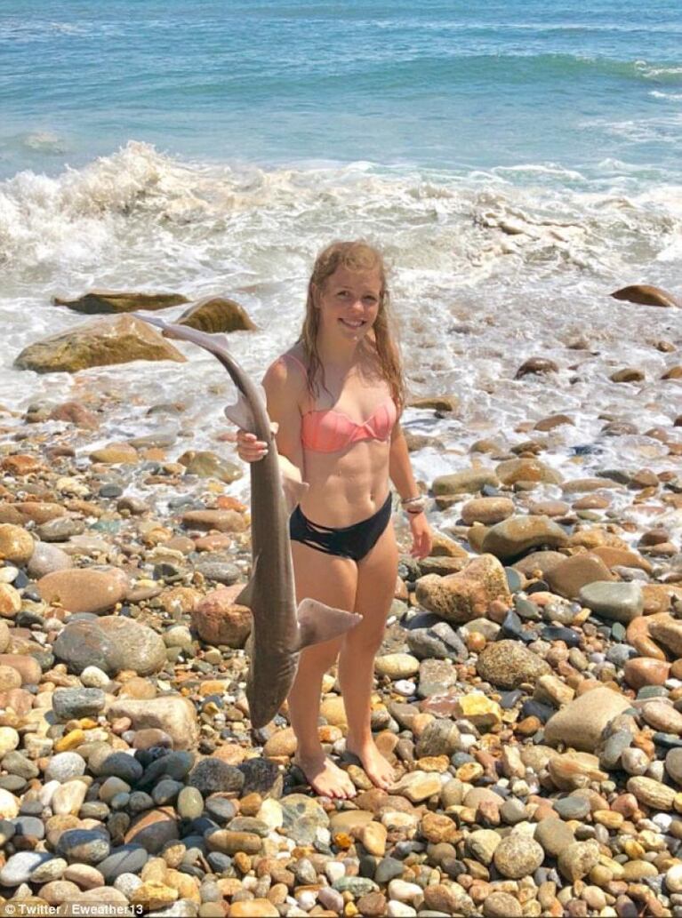 Una valiente joven salvó la vida de un tiburón con sus manos