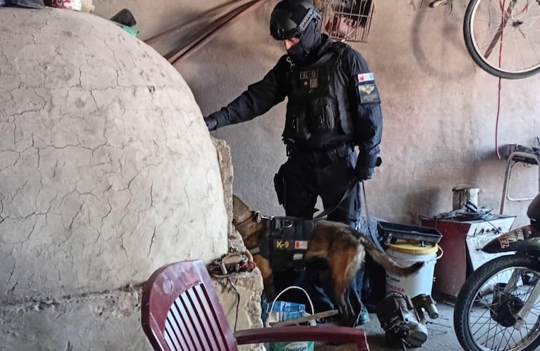 Uno de los detenidos tiene antecedentes.