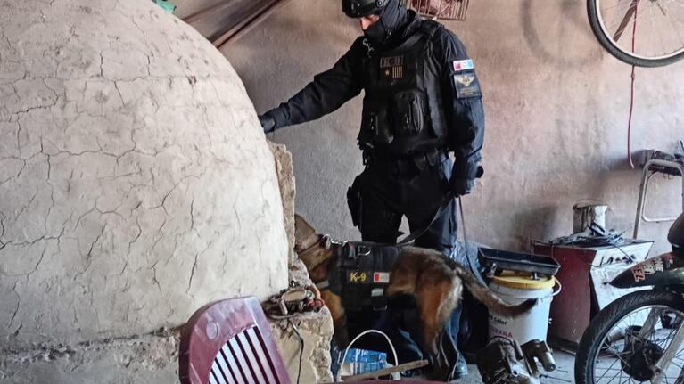 Uno de los detenidos tiene antecedentes.